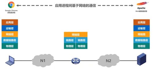 計算機網(wǎng)絡(luò)知識總結(jié)與計算機系統(tǒng)服務(wù)實踐